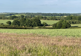 Mooi landschap met groene velden en bomen onder een heldere lucht, genomen vanaf een pod-locatie.