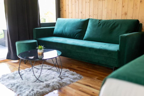 Salon de chalet avec canapé vert, table basse ronde, tapis doux et murs en bois pour une ambiance cosy.