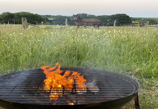 Brasero en feu devant une prairie fleurie et un cheval, photographié à The Cornflower pod au Royaume-Uni.