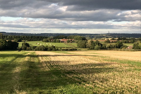 Campagne anglaise vallonnée avec champs, ballots de foin et fermes sous un ciel nuageux, vue depuis The Cornflower.
