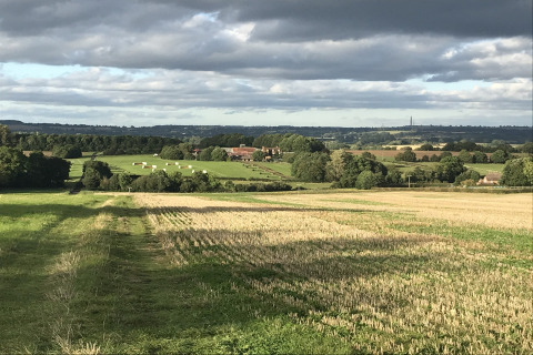 Engels platteland met velden, hooibalen en boerderijen onder een bewolkte lucht vanaf The Cornflower-pod.