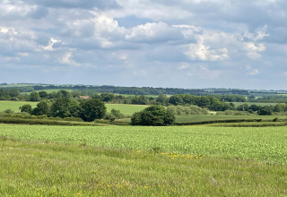Uitzicht op groene velden en verspreide bomen onder een deels bewolkte lucht bij The Cornflower, VK.