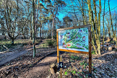 Informationsskilt med et kort over West Stow Pods i en solrig skov med stier og grøn vegetation.