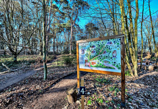 Informationsskilt med et kort over West Stow Pods i en solrig skov med stier og grøn vegetation.