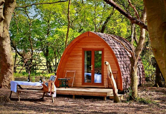 Eadmund Pod, een knusse houten hut in het bos met een picknicktafel en drankjes buiten.