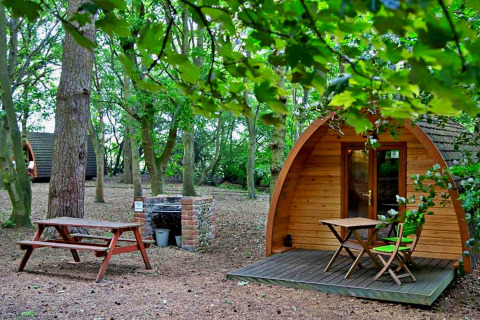 Eadmund Pod houten hut in Brits bos met picknickbank, barbecue en terras met zitplaatsen.