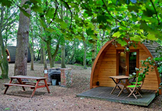 Eadmund Pod houten hut in Brits bos met picknickbank, barbecue en terras met zitplaatsen.