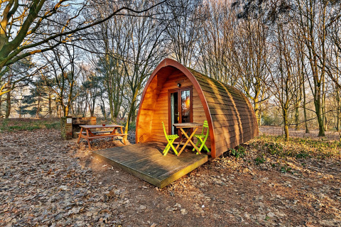 Gezellige houten pod met veranda en stoelen in een bos bij Eadmund Pod, Verenigd Koninkrijk.
