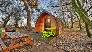 Pod en bois pour glamping avec mobilier vert et table de pique-nique en forêt au Suffolk Woodland Retreat.