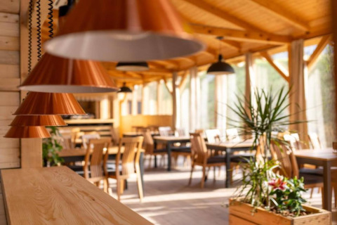 Photo d’un restaurant de chalet chaleureux avec meubles en bois, plantes et lumière naturelle douce.
