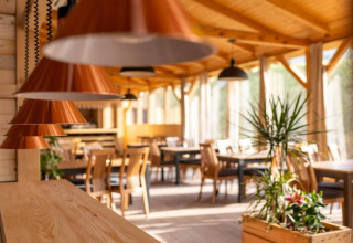 Photo d’un restaurant de chalet chaleureux avec meubles en bois, plantes et lumière naturelle douce.