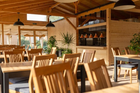 Intérieur de restaurant chalet lumineux avec mobilier en bois et plantes, idéal pour un repas détendu.