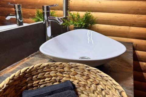Vasque de salle de bain moderne dans un chalet, panier tressé, plante verte et fond en rondins de bois.