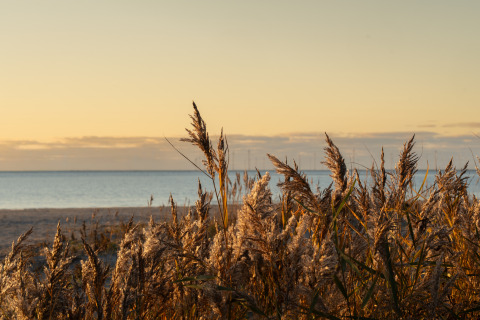 Zonsondergang bij het strand van MarinaPark Beach Resort Soal met riet en zee in Friesland, Nederland.