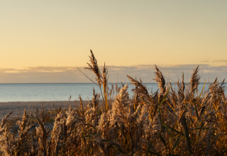 Sonnenuntergang am Strand des MarinaPark Beach Resort Soal mit Schilf und Meer in Friesland, Niederlande.