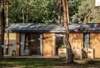 Cabane en bois au Holiday home à Haarle près de Sallandse Heuvelrug, Pays-Bas, entourée d'arbres.