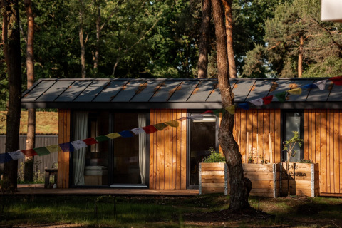 Træhytte ved Holiday home i Haarle nær Sallandse Heuvelrug, Holland, omgivet af natur og træer.