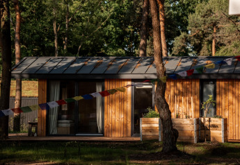 Cabane en bois au Holiday home à Haarle près de Sallandse Heuvelrug, Pays-Bas, entourée d'arbres.