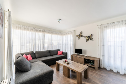 Moderne woonkamer op huisboot Luxury chalet 55 in Nederland, met grijze zetel en vlinderversiering aan de muur.