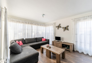 Modernes Wohnzimmer auf dem Hausboot Luxury chalet 55 in den Niederlanden mit grauem Sofa und Holzmöbeln.