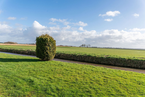 Vue depuis le Luxury chalet '54 Bantega' aux Pays-Bas, champs verts, un buisson et ciel bleu.