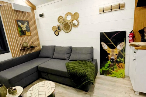 Moderne tiny house woonkamer in Nederland met grijze bank, herten kunst en gevlochten wandspiegels.