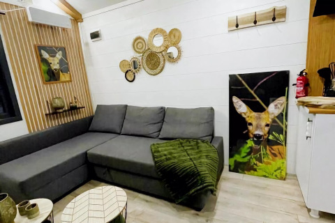 Sala de tiny house moderna en Países Bajos con sofá gris, arte de ciervo y espejos de pared trenzados.