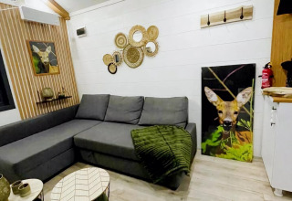 Sala de tiny house moderna en Países Bajos con sofá gris, arte de ciervo y espejos de pared trenzados.