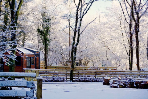 Charming Tiny House i Nederlandene om vinteren, omgivet af sneklædte træer og et roligt, fredeligt landskab.