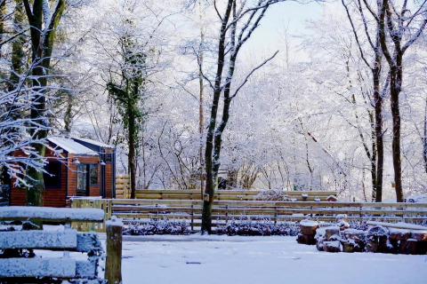 Charming Tiny House en los Países Bajos en invierno, rodeada de árboles nevados y un paisaje tranquilo.