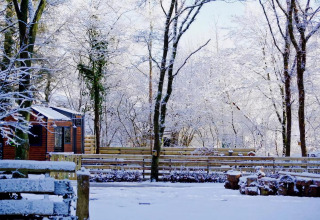 Charming Tiny House en los Países Bajos en invierno, rodeada de árboles nevados y un paisaje tranquilo.