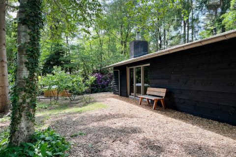 Buitenaanzicht van Dutch Cabin Houses C66 lodge met zwarte houten gevel, bankje en groene natuur.