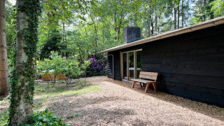 Buitenaanzicht van Dutch Cabin Houses C66 lodge met zwarte houten gevel, bankje en groene natuur.