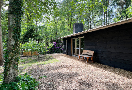 Buitenaanzicht van Dutch Cabin Houses C66 lodge met zwarte houten gevel, bankje en groene natuur.
