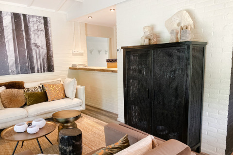 Woonkamer met modern interieur, zwarte kast, witte muren, kleurrijke kussens en kunst bij Dutch Cabin Houses C66.