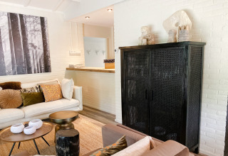 Woonkamer met modern interieur, zwarte kast, witte muren, kleurrijke kussens en kunst bij Dutch Cabin Houses C66.