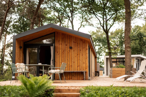 Træhytte ved Holiday home i Haarle nær Sallandse Heuvelrug, omgivet af skov og moderne terrasse.
