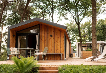 Lodge de vacances moderne en bois à Haarle près du Sallandse Heuvelrug aux Pays-Bas, entouré d’arbres.