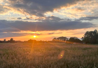Coucher de soleil sur un champ près du Holiday home à Haarle près de Sallandse Heuvelrug aux Pays-Bas.