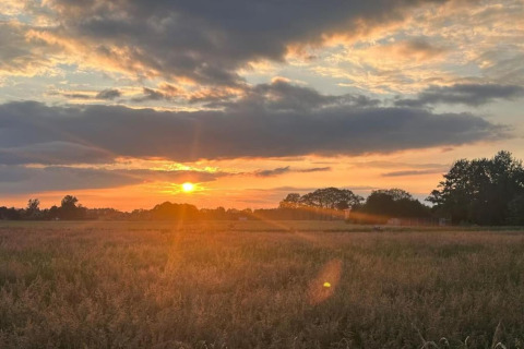 Solnedgang over en mark ved Holiday home i Haarle nær Sallandse Heuvelrug i Holland med skyer og træer.