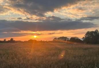 Sonnenuntergang über einem Feld bei Holiday home in Haarle nahe Sallandse Heuvelrug in den Niederlanden.