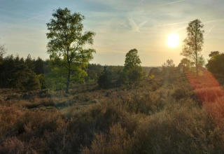 Sol poniente sobre un paisaje natural con árboles y matorrales cerca de Sallandse Heuvelrug, Haarle, Países Bajos.