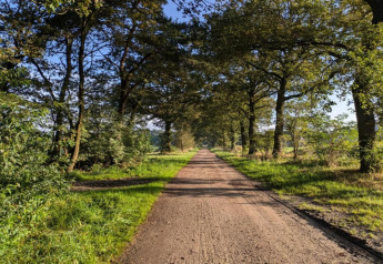 Met bomen omzoomd zandpad aan Holiday home «in Haarle near Sallandse Heuvelrug» in Nederland, zonnig weer.
