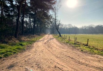 Solrig grusvej ved siden af grøn mark og træer tæt på Holiday home i Haarle nær Sallandse Heuvelrug, Holland.