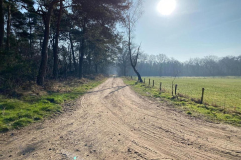 Solrig grusvej ved siden af grøn mark og træer tæt på Holiday home i Haarle nær Sallandse Heuvelrug, Holland.