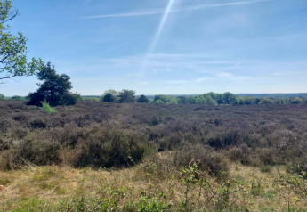 Landschaft bei Sallandse Heuvelrug in den Niederlanden, aufgenommen von einer Ferienwohnung aus.