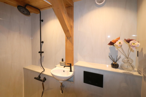 Moderne badkamer met zwarte douche, kleine wastafel en bloemen bij Frisian Hideaway in Nederland.