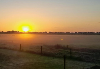 Zonsopgang over een mistig veld bij Frisian Hideaway with Style lodge in Nederland, landelijke sfeer.