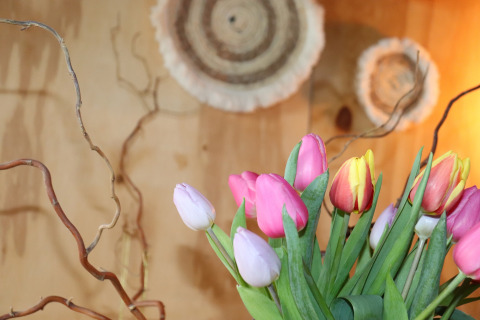 Boeket kleurrijke tulpen met kronkelende takken op houten achtergrond, genomen bij Frisian Hideaway with Style in Nederland.