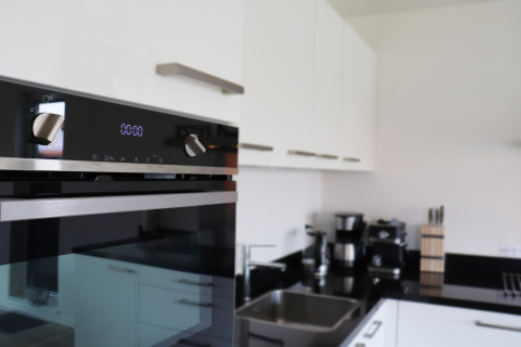 Moderne køkkenplads på Scenic Stay med ovn og kaffeudstyr, beliggende i Holland på en lodge.